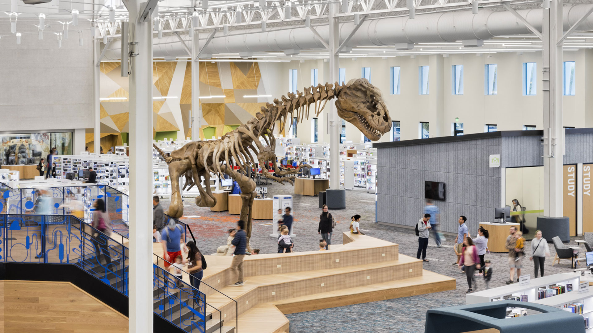Tate Frisco Public Library Dino Case Study Banner Desktop Image En Us