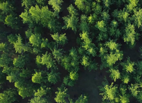 Tate Cross Sell Sustainability Full Image En Eu